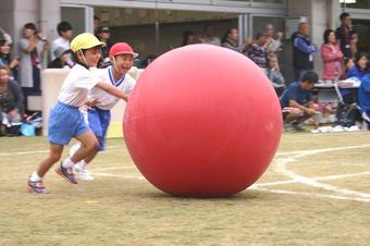 第7回「奈良学園幼稚園ミニ運動会」を開催しました