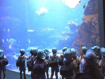 秋の遠足で、「京都水族館」に行ってきました