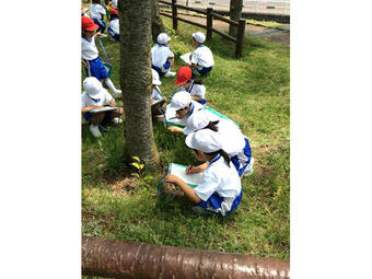 生駒山麓公園で春探し！