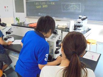 給食試食会・学校体験会を開催しました