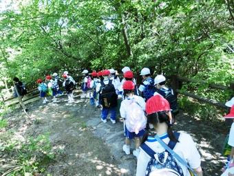 P1生が生駒山麓公園に行きました