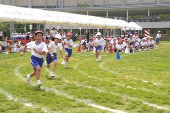 第11回プライマリースポーツフェスタを行いました