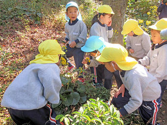 年長児が秋の園外保育に行きました