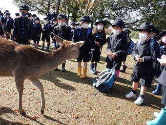 P1が校外学習に行って奈良について学んできました