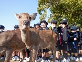 P１生が奈良市内に、宿泊学習に行きました！