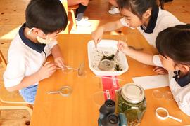 「大学の先生と遊ぼう」を行いました