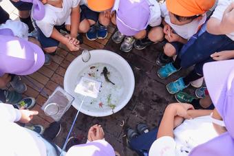 「水中の生き物調査隊〜ビオトープには何がいるかな!?〜」を行いました