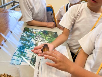 P2生が春の遠足に行ってきました