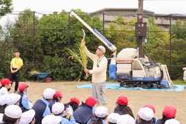 P3生・P4生が稲刈りを行いました