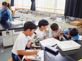 M1生が顕微鏡観察を行いました