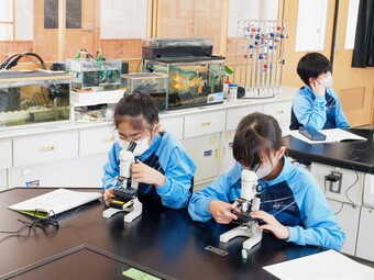 M1生が顕微鏡観察を行いました