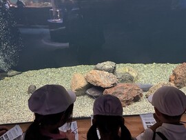 P３生が琵琶湖へ宿泊学習に行ってきました