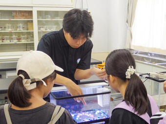 入試説明会・学校見学会を開催しました