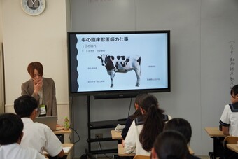 卒業生によるキャリアトーク