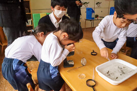 水中の生き物観察会を行いました