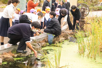 水中の生き物観察会を行いました