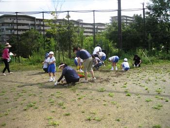 【古川】夏の清掃活動