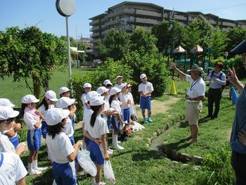 P4田植え