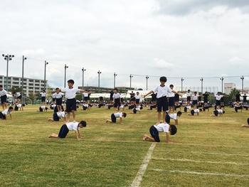 合同運動会（M１･M２とY２男子　つながり）