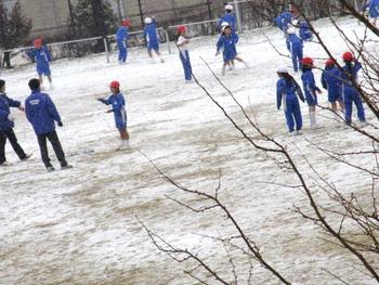 雪の朝