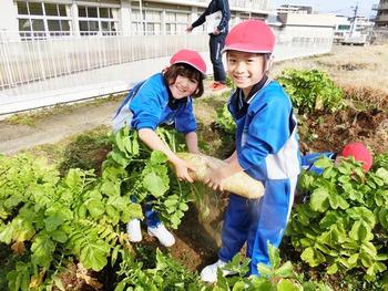 大根と仲良し　P１の子どもたち