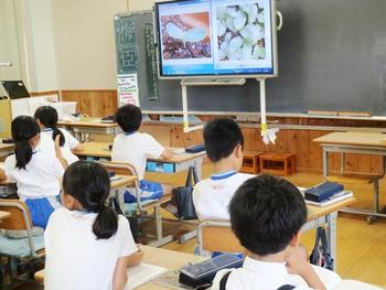 P４（小学４年）生の理科の時間