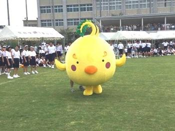 合同運動会を終えて　P1･2（小学1･2年）生