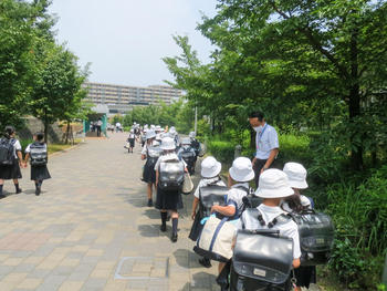 夏休みがやってくる！