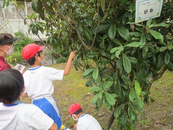 果樹園で観察中！（P２）