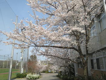 春休みの学校...