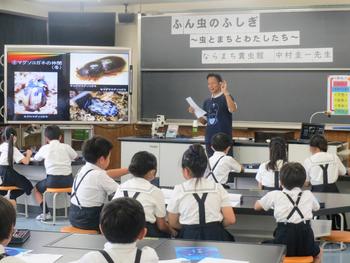 ならまち糞虫館の館長さんのお話を聞くと...！