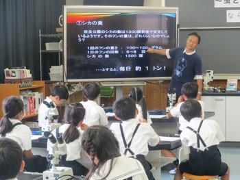 ならまち糞虫館の館長さんのお話を聞くと...！