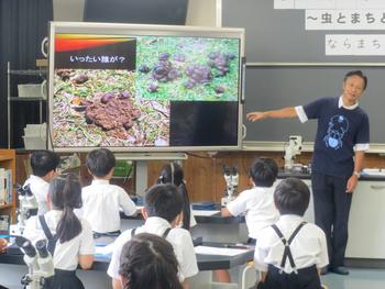 ならまち糞虫館の館長さんのお話を聞くと...！