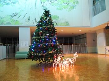 【古川】クリスマスツリー設置