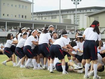 合同運動会①（MY合同競技編）