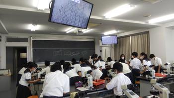 授業風景（理科実験、書道）