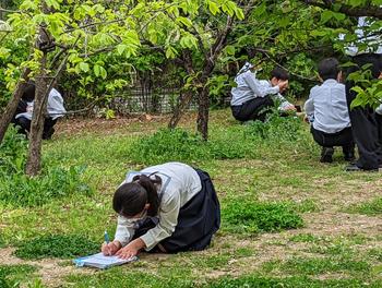 理科の実験・観察授業