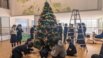 クリスマスツリーを飾りました