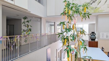 七夕　星に願いを