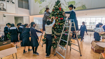 クリスマスツリー登場！