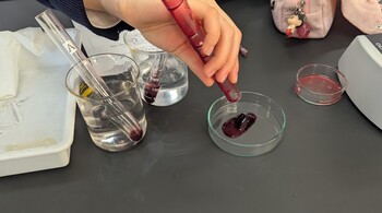 理科の実験授業⑦