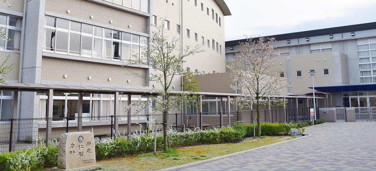 奈良 学園 登美 ヶ 丘 中学校 偏差 値