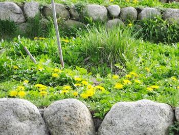 【西田】始業式・年少児初登園