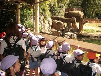 【西田】遠足（天王寺動物園）