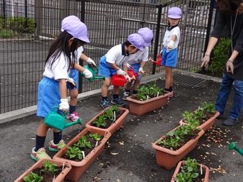 【西田】チューリップの球根を植えました♪