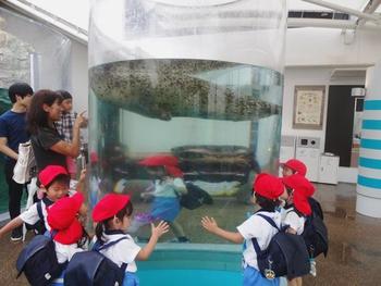 秋の遠足　京都水族館