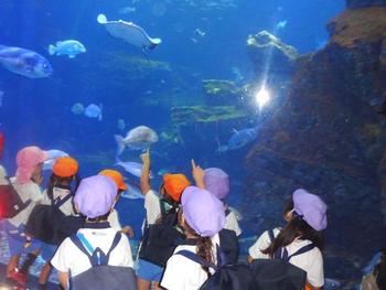 秋の遠足　京都水族館