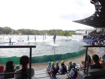 秋の遠足　京都水族館