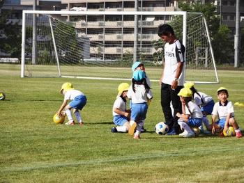 奈良登美サッカースクール