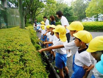 お泊まり保育⑥翌朝